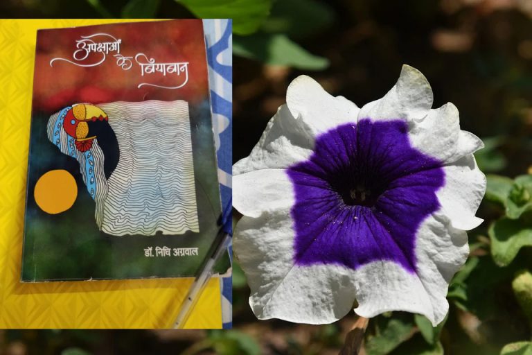 अपेक्षाओं के बियाबान